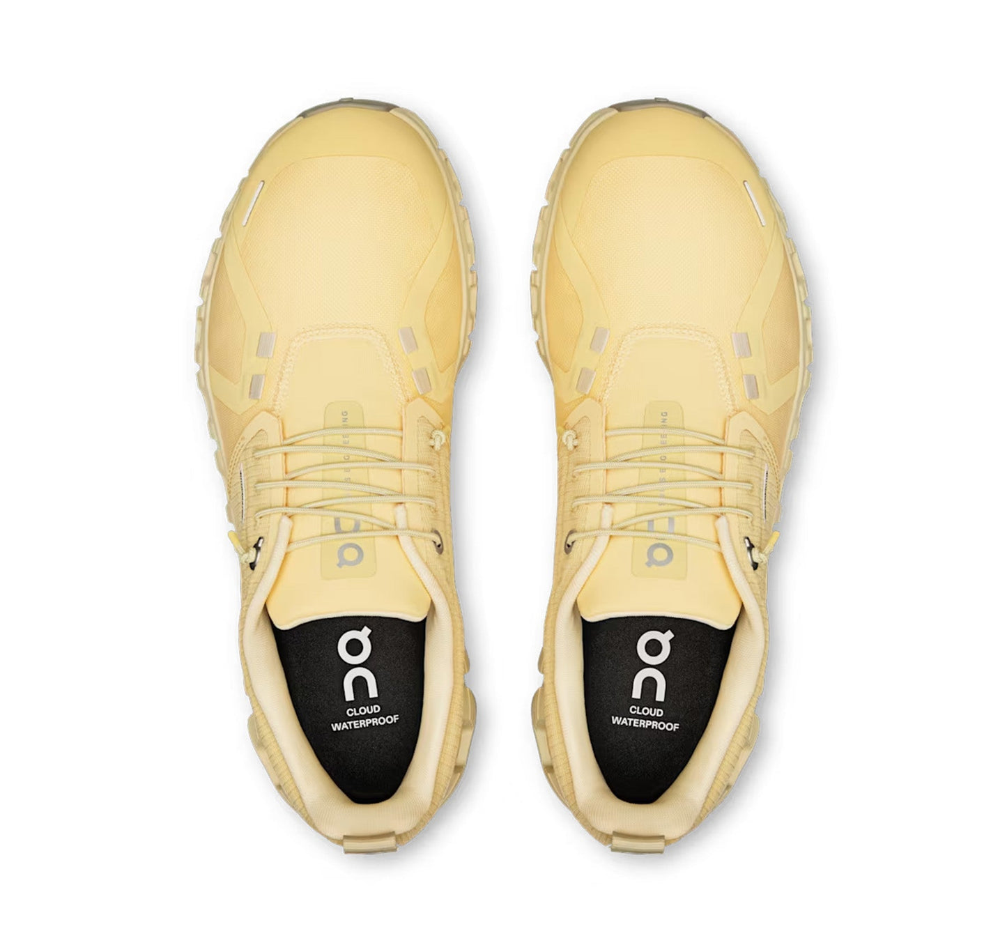 ON Women's Cloud 6 Waterproof Nectar/Castor